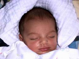 Fiona041.jpg